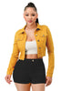 Super Stretchy Cropped Jacket-1
